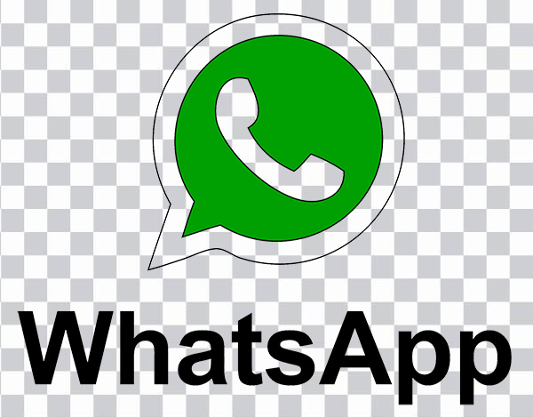 WhatsApp Email Web design Message Icon,<br></noscript> Whatsapp, WhatsApp logo, text, logo, green png