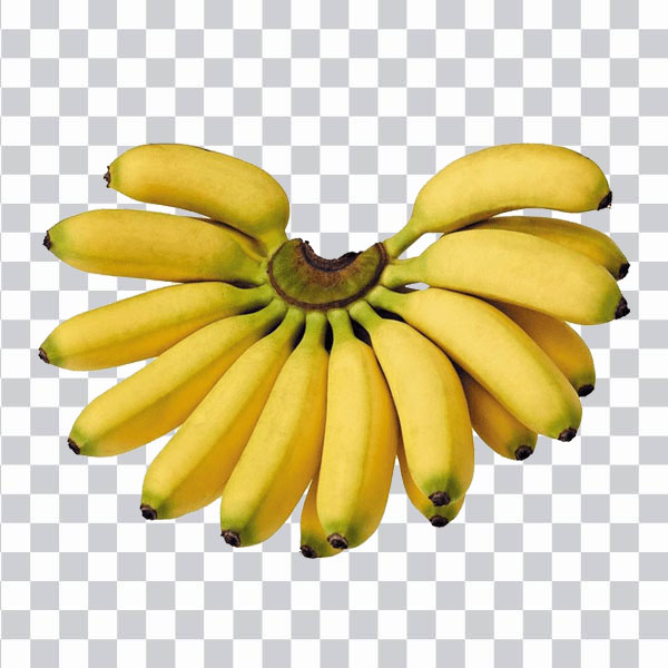 Bunch of Bananas, organic food, natural food <br></noscript>Juice Banana Fruit Vegetable, banana, natural Foods,<br> food, tropical Fruit png free