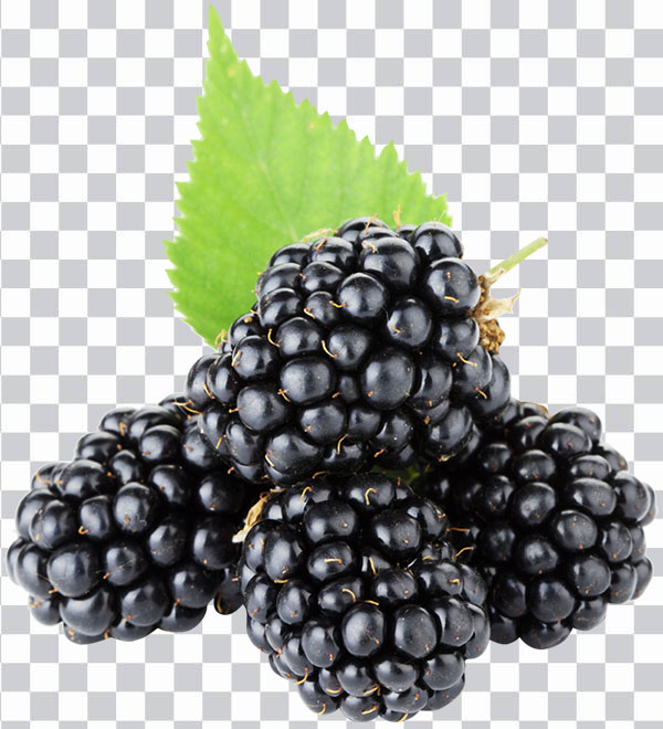 Grape, Boysenberry, Red Mulberry, Berries, Black <br></noscript>Mulberry, Fruit, Blackberry, Loganberry, Boysenberry, <br>Red Mulberry, Berries png free