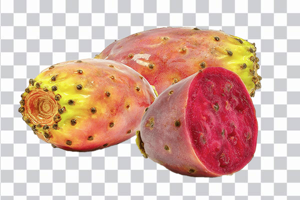 Opuntia fruit or prickly pear fruit, Barbary fig <br></noscript> Common fig Opuntia cochenillifera Embryophyta <br>Cactacea cactus fruit, png free