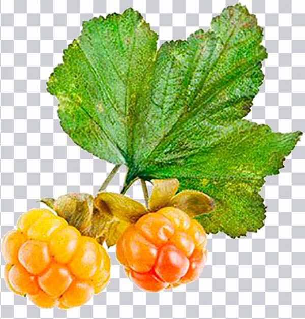 Varenye Cloudberry graphy Berries, berries, natural <br></noscript>Foods, food png free