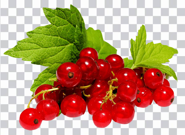 Ribes rosso, Redcurrant, jelly, organic fruit, leaves, <br></noscript>bunch of redcurrant, juice, hd png