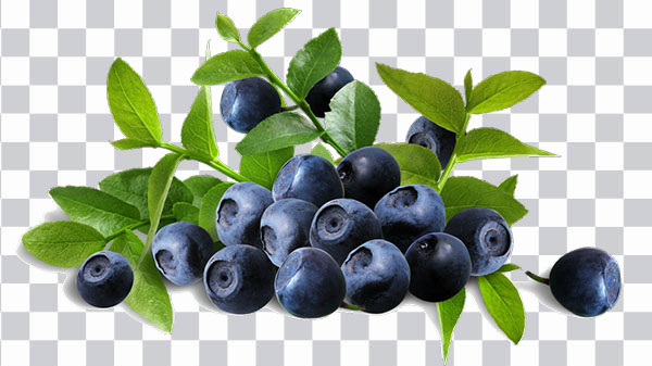 Mirtillo, Blueberry, blue berry, Juice Organic food <br></noscript>Raw foodism Blueberry Flavor, HD png