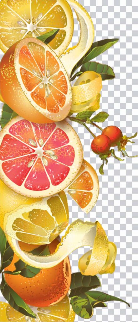 Fette D’arancia, Orange Slices, orange juice, fruit <br></noscript> splash, organic fruits, orange, Sliced orange