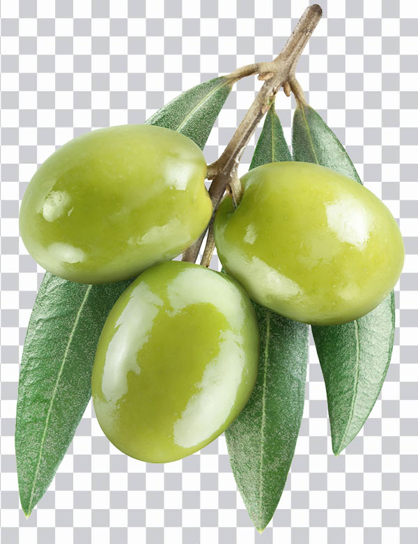 Foglia d’olivo, Olio d’oliva, Olives, Olive Oil, <br></noscript> natural food, cooking oil png free