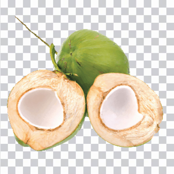 جوز الهند الأخضر, Cocco verde, Green Coconut<br></noscript> shell, coco powder, coconut milk, png free