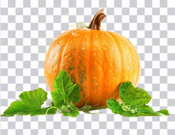 Pumpkin, Zucca, pumpkin illustration, Pumpkin pie<br></noscript> Health Pumpkin seed Nutrition, png free