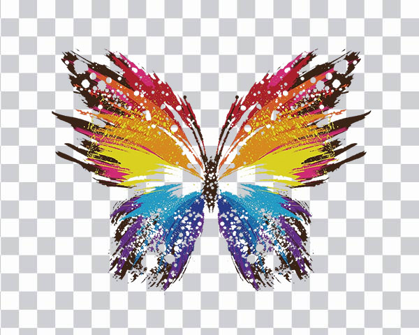 Abstract Art, Butterfly, colorful butterfly, color splash, <br></noscript> painting, artistic wallpaper, png free