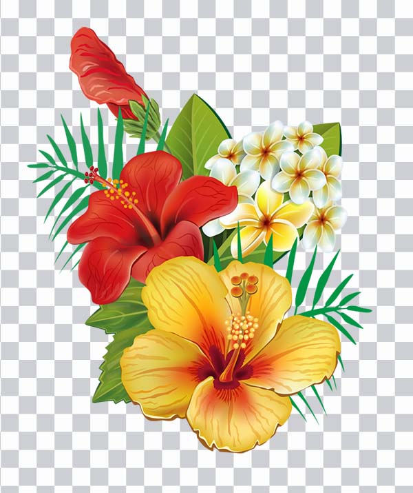 Hibiscus Flower png, Flowers Bouquet, green, leaves,<br></noscript> nature, red and yellow hibiscus flowers png free